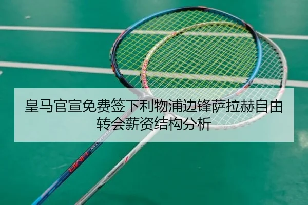 huang-ma-guan-xuan-mian-fei-qian-xia-li-wu-pu-bian-feng-sa-la-he-zi-you-zhuan-hui-xin-zi-jie-gou-fen-xi-2-846.jpg