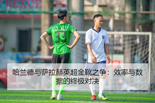 ha-lan-de-yu-sa-la-he-ying-chao-jin-xue-zhi-zheng-xiao-lv-yu-shu-ju-de-zhong-ji-dui-jue-2-779.jpg