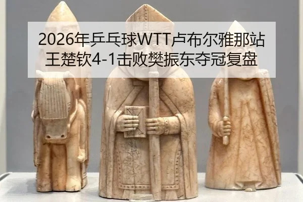 nian-ping-pang-qiu-lu-bu-er-ya-na-zhan-wang-chu-qin-ji-bai-fan-zhen-dong-duo-guan-fu-pan-3-613.jpg