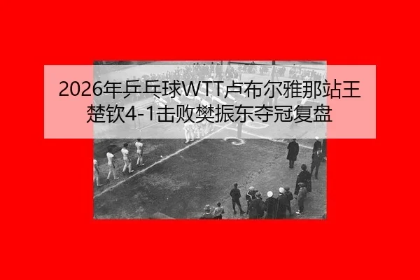 2026年乒乓球WTT卢布尔雅那站王楚钦4-1击败樊振东夺冠复盘