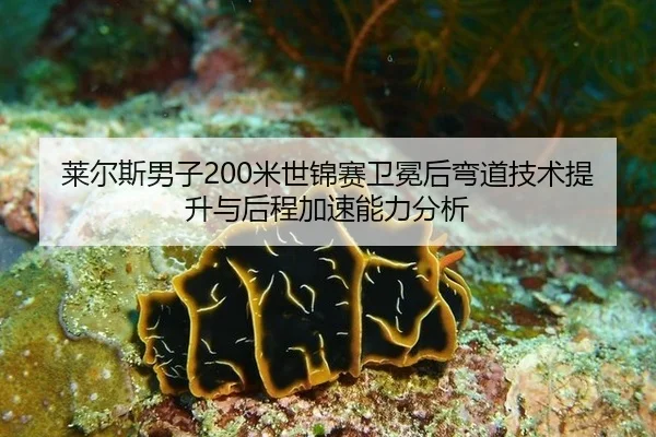 莱尔斯男子200米世锦赛卫冕后弯道技术提升与后程加速能力分析