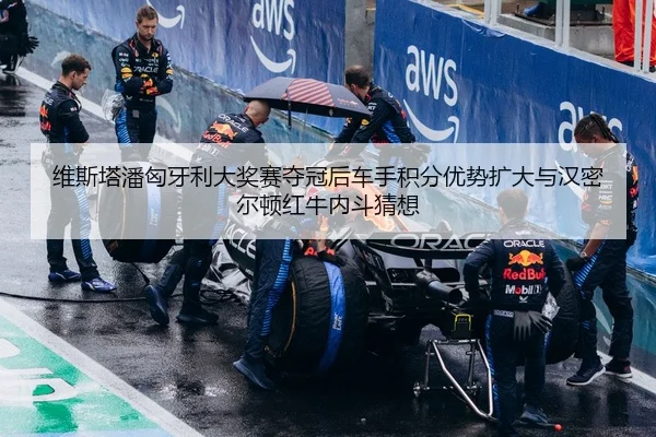 维斯塔潘匈牙利大奖赛夺冠后车手积分优势扩大与汉密尔顿红牛内斗猜想